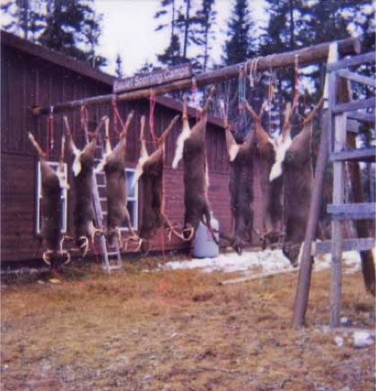  Game Pole